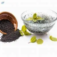 Basil Seed