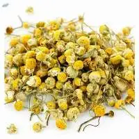 Dried Daisy Chamomile Flower