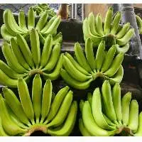 Fresh Banana