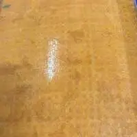 Frozen Passion Fruit Puree