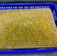 Seedless Passion Fruit Pulp
