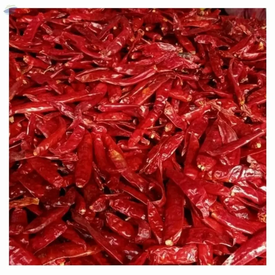 Dried Chillies