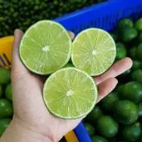 Fresh Green Lime