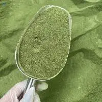 Green Seaweed Powder