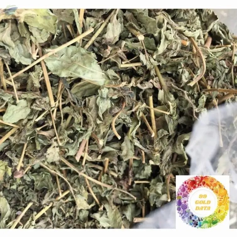Dried Stevia Leaf