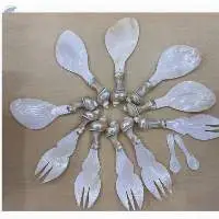 Mother Of Pearl SeaShell Spoon