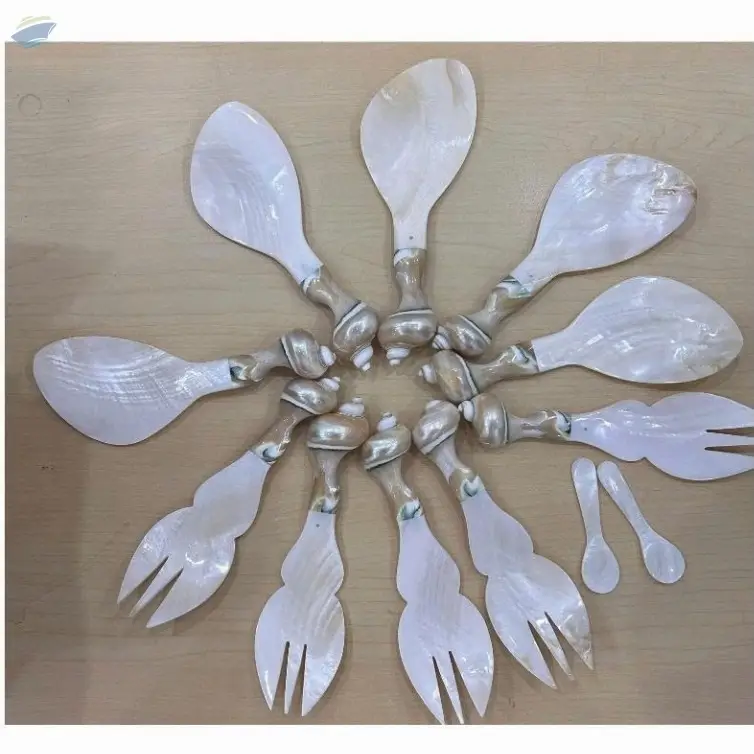 Mother Of Pearl SeaShell Spoon