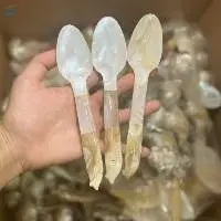 Seashell Spoon