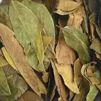 Dried Soursop Leaf