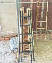Bamboo Ladder