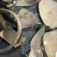 Raw Coconut Shell