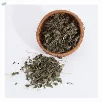 Stevia Leaf