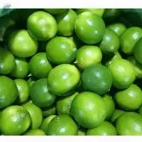 Fresh Green Lime