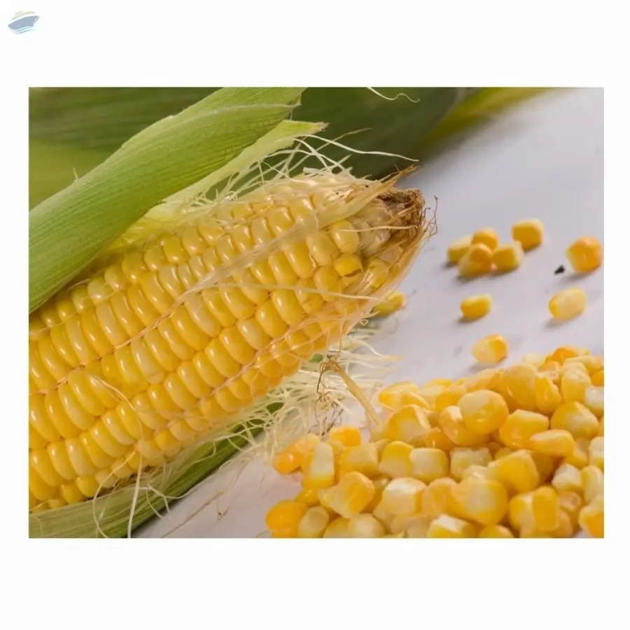 Frozen Corn