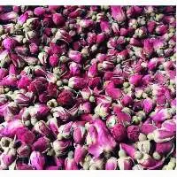Dried Rose