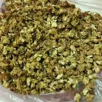 Dried Jasmine Flower