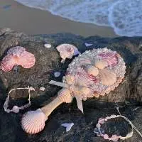 Seashell Mirror