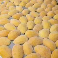 Frozen Mango