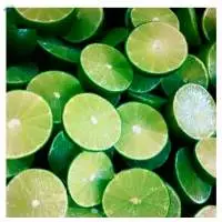 Fresh Lime