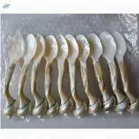 Seashell Spoon