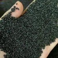 Vietnam Basil Seeds