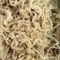Cottonii Seasweed