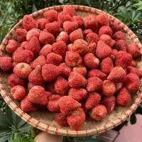 Freeze-Dried Strawberries