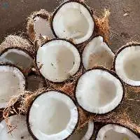 Semi Husked Coconut