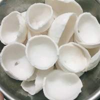 Coconut Meat
