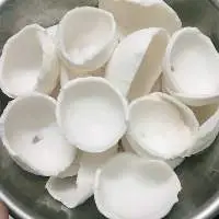 Coconut Meat