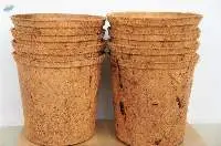 Coir Pot