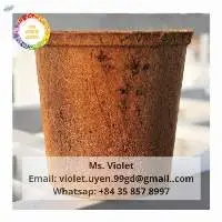 Coir Pot