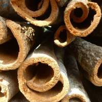 Cinnamon Sticks