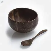 Coconut Shell Bowl