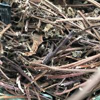 Black Grass Leaves