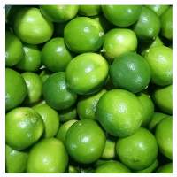 Fresh Lime