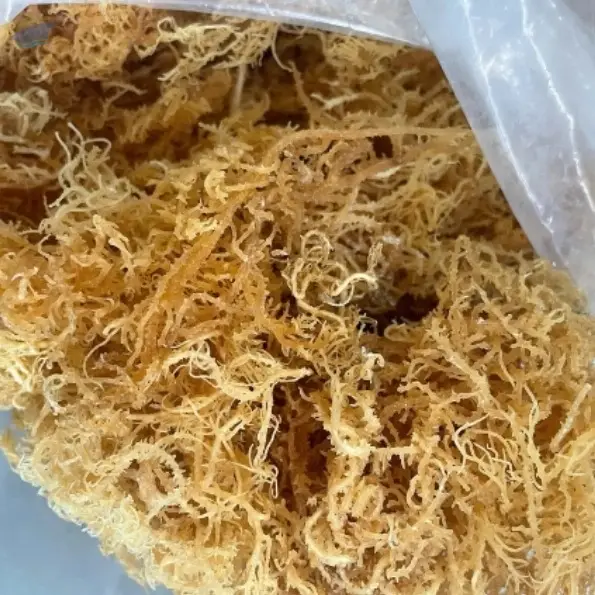 Dried Sea Moss