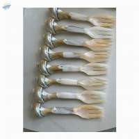 Mother Of Pearl Spoon