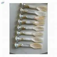 Mother Of Pearl Spoon