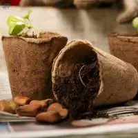 Coconut Fiber Coir Pot