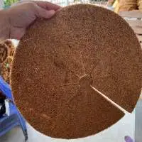 Coconut Coir Disc