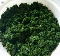 Frozen Cassava Leaf