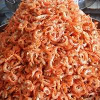 Premium Dried Shrimp from Vietnam