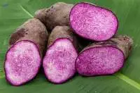 Frozen Yam