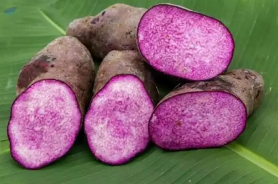 Frozen Yam