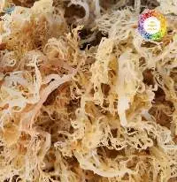 Dried Eucheuma Seaweed