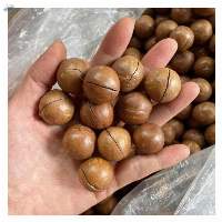 Dried Macca Nuts