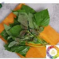 Dried Perilla Leaves