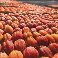 Premium Dried Persimmon