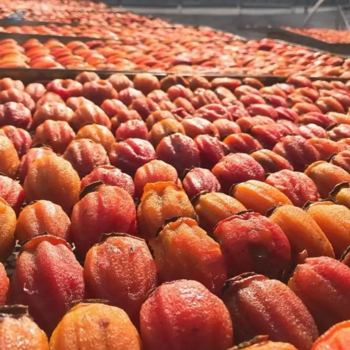 Premium Dried Persimmon